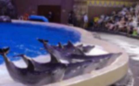 �������������ӻؼҸ���_750��