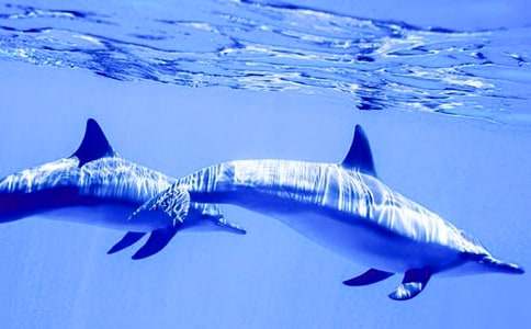 �茑����ă�(y��u)�����ģ�ͨ��38ƪ��