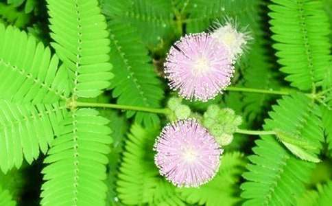 ��ϲ�g�ĺ��߲�����