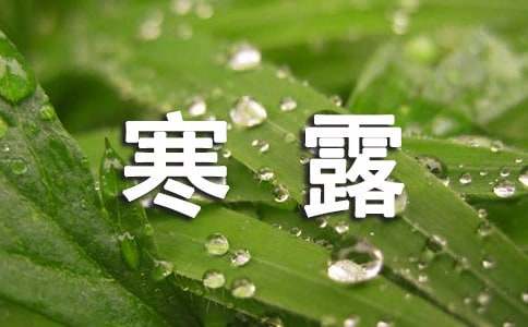 寒露養(yǎng)生諺語匯總