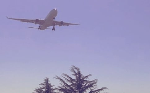 開往2019的航班500字作文