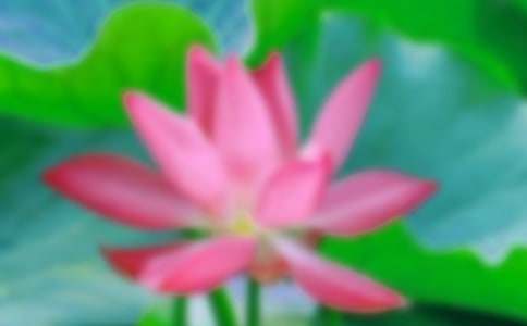 ���f����P�ںɻ���Ԋ