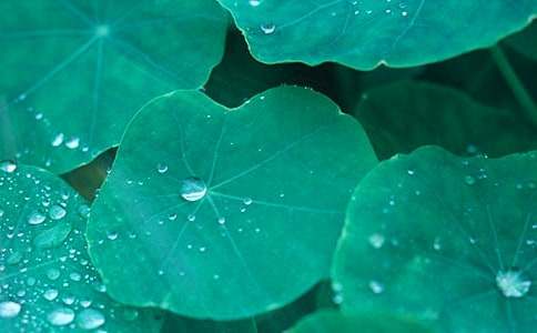 ���������еĺ��~����3ƪ