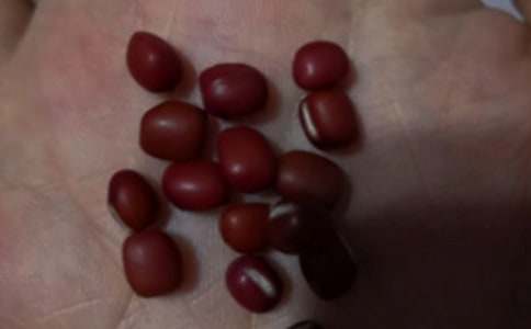 ̫��ɽ�t���{�ă�(y��u)������