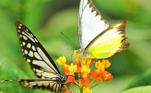 �����ĺ����m���ġ����T��