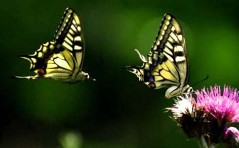 �����ĺ����m���ķ���