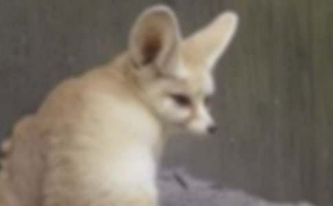 �ϻ��ͺ�؂����300����ƪ