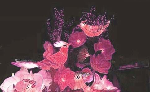 一夜花燈醉作文