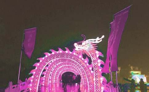 看花燈小學(xué)生作文400字