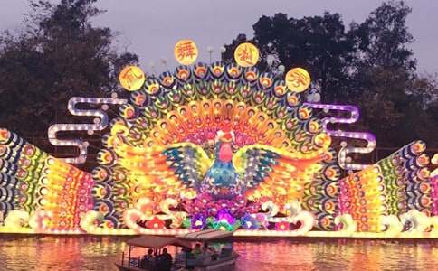 觀花燈作文400字