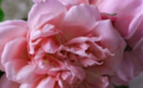 �_��ӛ����̎�Ļ���-ӛ������