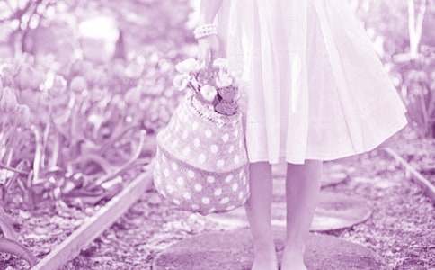 玫瑰花童話故事作文700字