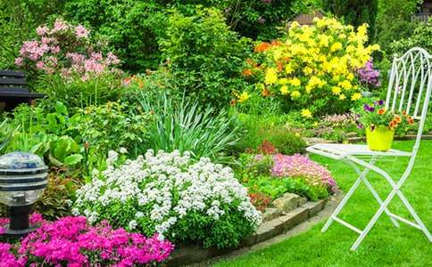 ���»��@�x����ЌW��1000������