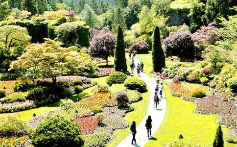 (優(yōu)秀)美麗的花園作文48篇