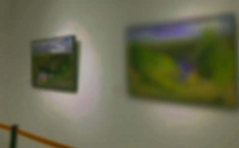 家庭小畫展作文