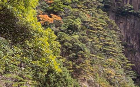 �����A���Sɽ��ӛ����3ƪ