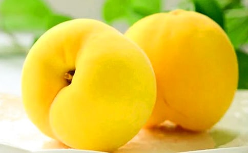 �S�ҹ�(ji��)�������}���V�������Z�����x120�䣩