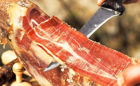 ������x���⼰��