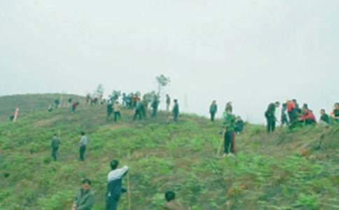 ��ӛɢ�ġ���������󻱘䡷