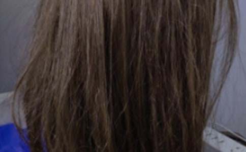 暑假發(fā)現(xiàn)王國之旅作文