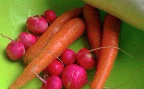 �P(gu��n)ע�����������������550��_���P(gu��n)ע��Ԓ�}������