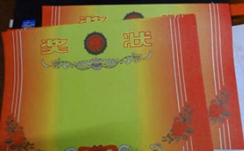 有關(guān)獎(jiǎng)狀作文600字4篇