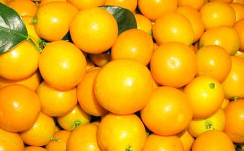 金桔作文400字6篇