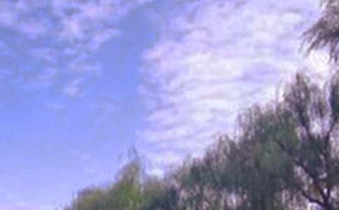 ���@�ľ�ɫ��(y��u)������