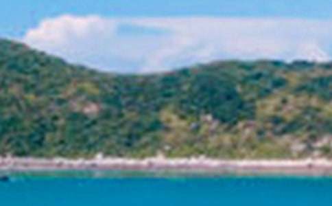 ��������ɫ������600�֣����x35ƪ��