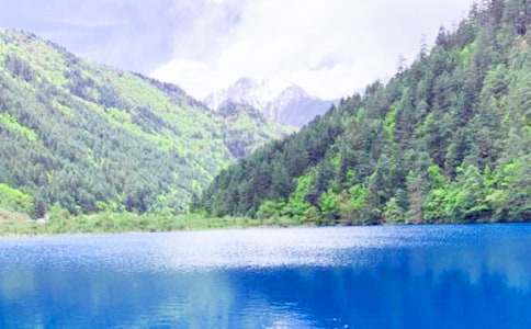 �P(gu��n)�ھ�կ�ϵ��L(f��ng)�����ģ����x20ƪ��