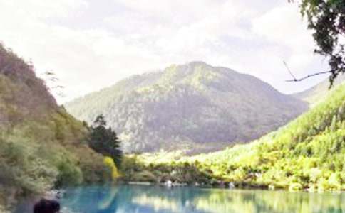 ������կ������