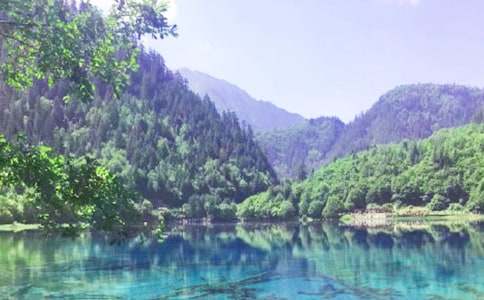 九寨溝神奇的水作文