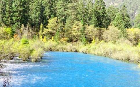 美麗的九寨溝作文900字