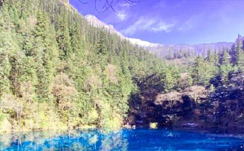 九寨溝風(fēng)景的作文