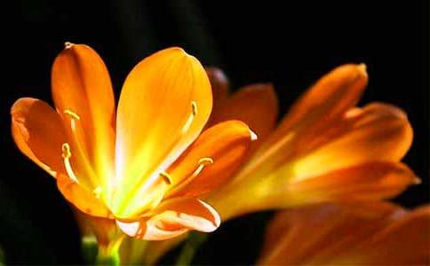 �����ľ����m����650��