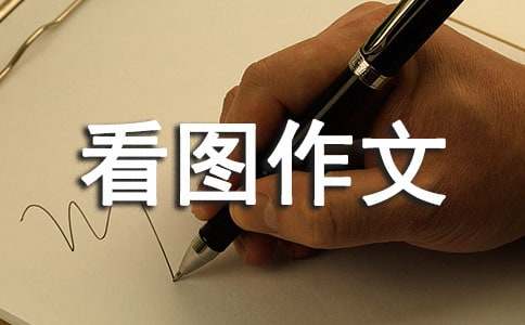 精選看圖作文300字錦集6篇