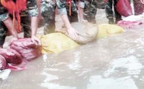 ����Ȟ�(z��i)���h��13ƪ