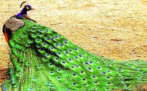 �����Ŀ�ȸ���꼉(j��)���ģ�ͨ��17ƪ��