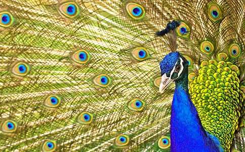 ����ȸ�~������