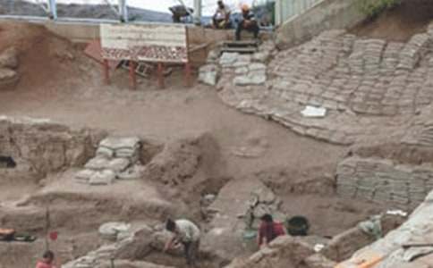 �صV����Մ׃������60������