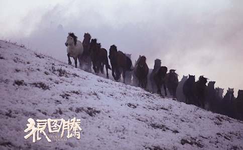 ���P(gu��n)�ǈD�v�x���Pӛ