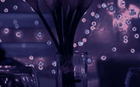 我的另一種浪漫作文900字