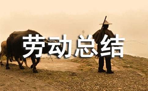 社會實踐活動勞動總結(jié)(通用25篇)