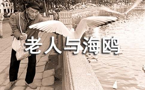 �����c���t��Ҫ��(n��i)��