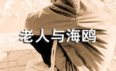 《老人與海鷗》讀書筆記