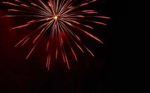 �����ĶY������