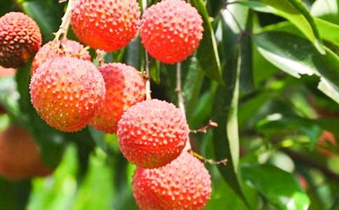 �Ґ�(��i)���l(xi��ng)����֦����400��