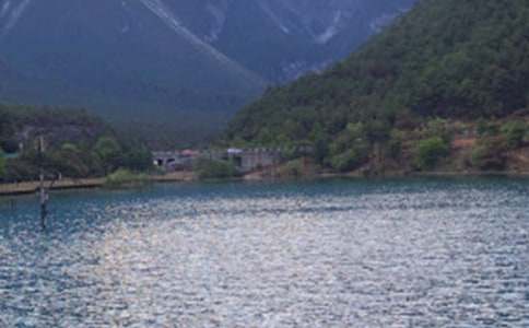 �����ų�����