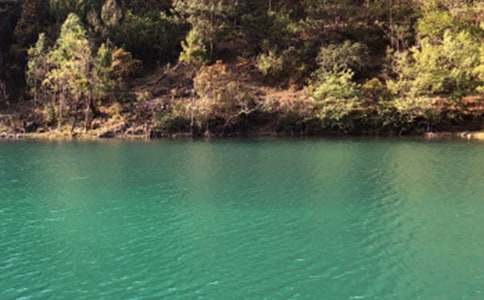 麗江春雪優(yōu)秀作文