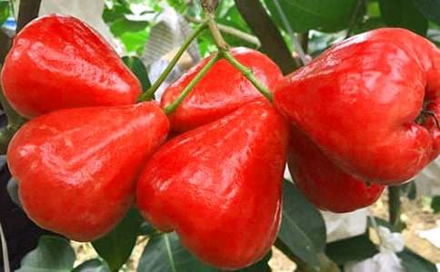 ��������Ʒ����ɏ�F��ԭ���p�x